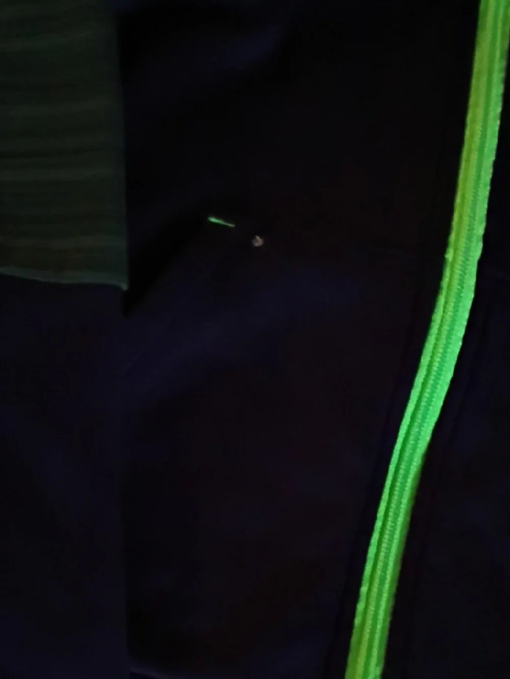 Champion Navy Hoodie with Bright Green Trim